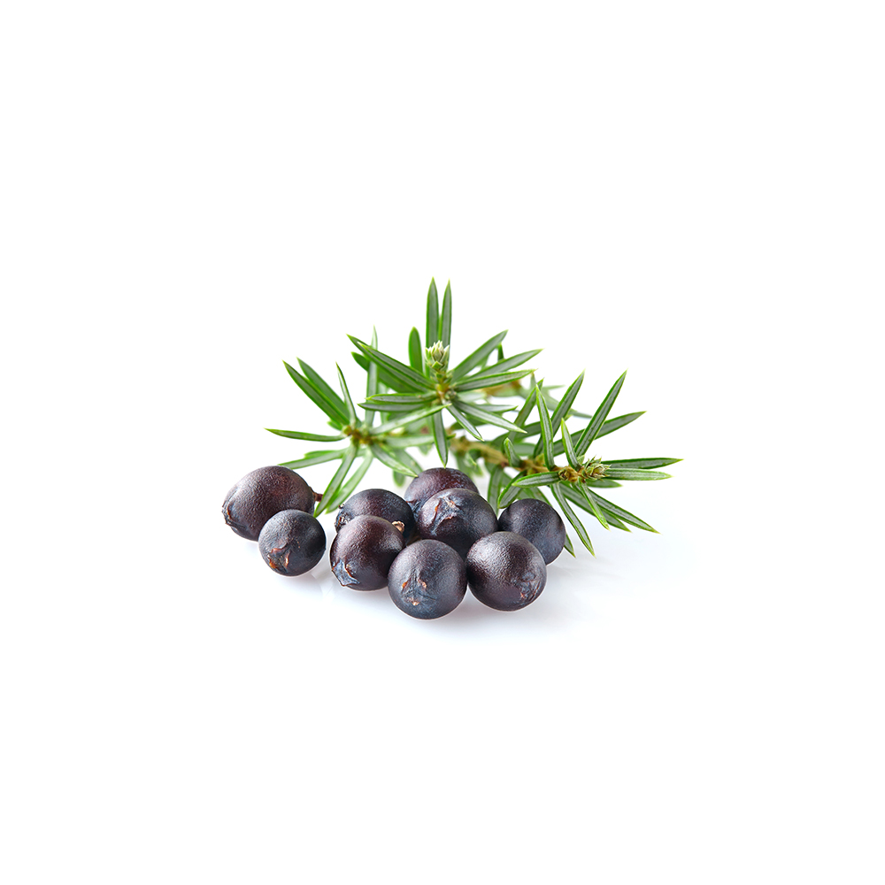 Juniper berries