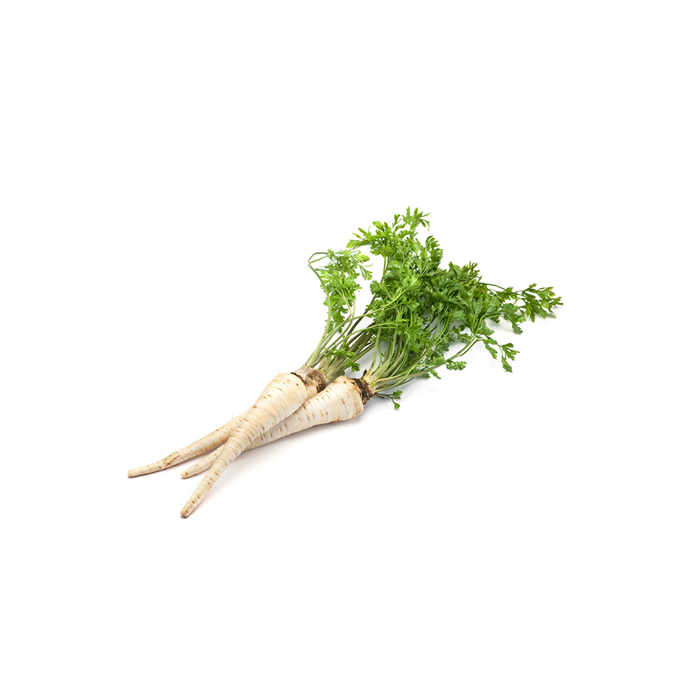Parsley root